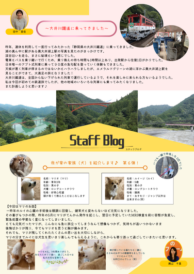 ③スタッフブログ.png