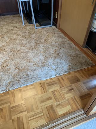 【施工前】玄関廊下も傷んでいましたので同じように張り替えさせていただきました。