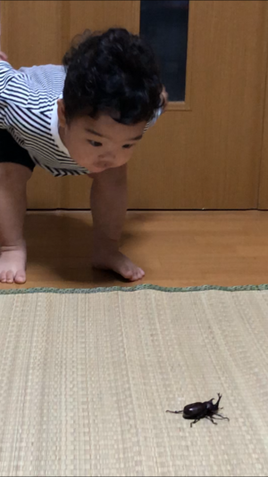 カブトムシと孫➂.png