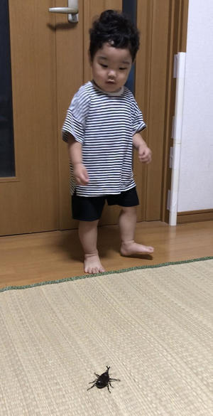 カブトムシと孫①.jpeg