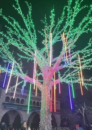 image0 - 2022-11-07T095847.415.jpeg