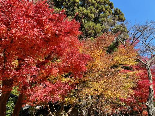 image0 - 2022-11-14T100053.677.jpeg