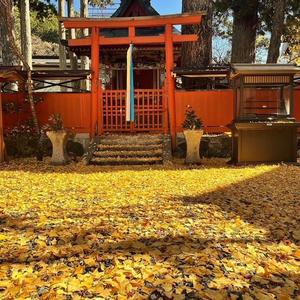 image0 - 2022-11-14T125250.321.jpeg