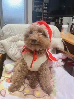 image0 - 2022-12-17T092527.690.jpeg