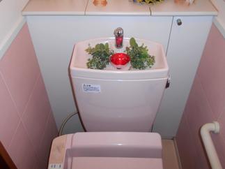 施工後　トイレ背面