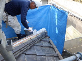 土も新たに巻替え。