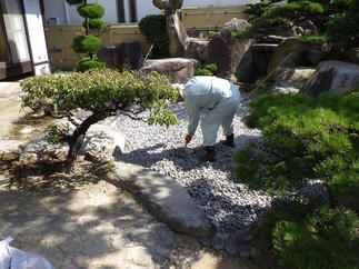 またまた砂利敷き均し！