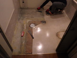 床のシート剥ぎます。