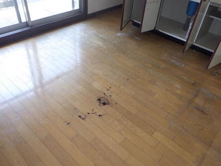 直貼り床の貼り替え（既存）