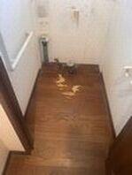 床の補修前