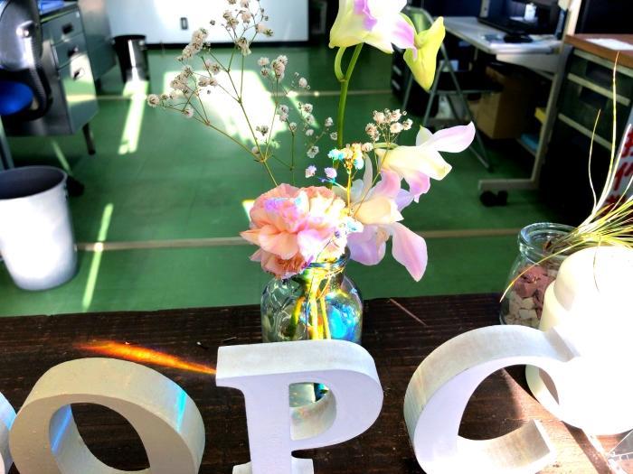 5dc4ca5db786e7793785a1f2 (1).jpg