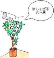 観葉植物+吹き出し.jpg
