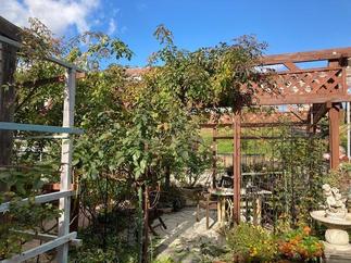 大好きなお庭を、お気に入りの場所で思いのままに過ごす...