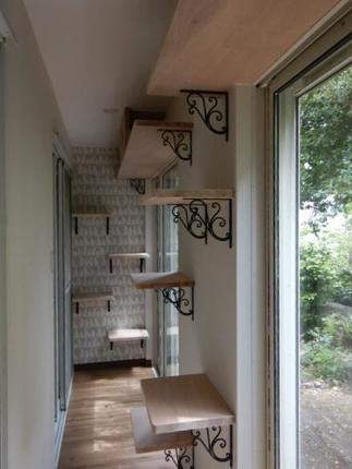 ペット部屋の増築