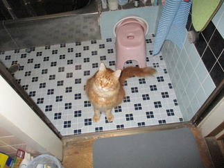 【施工前】浴室出入り口