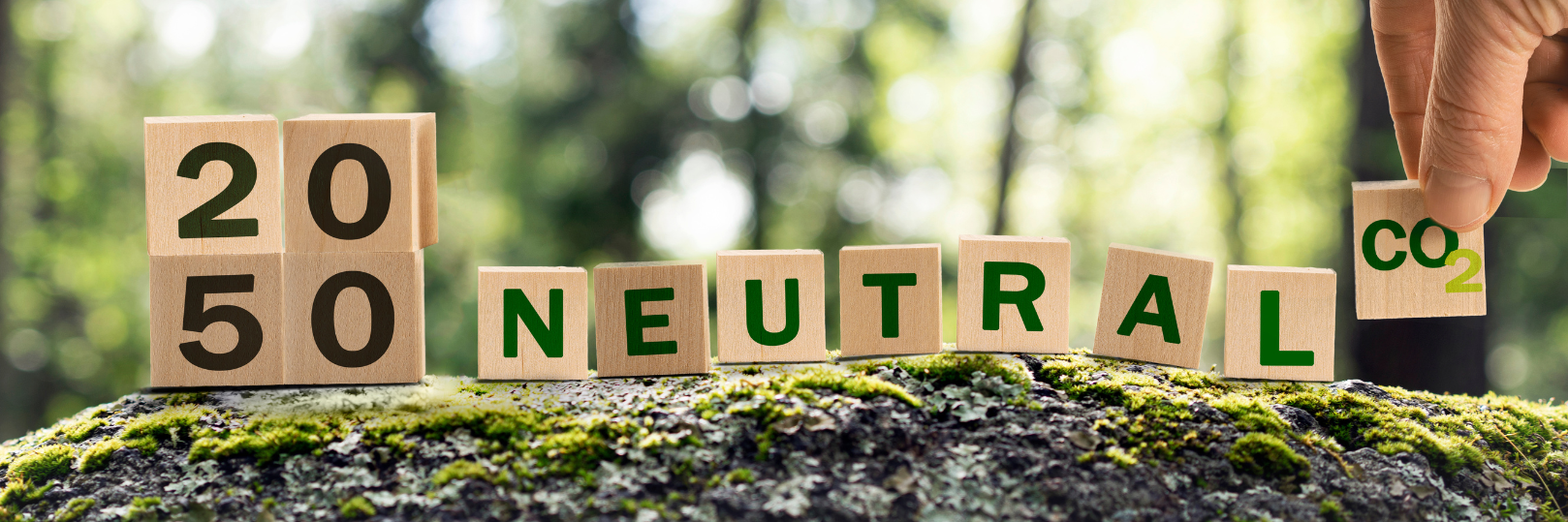 2050カーボンニュートラル.png