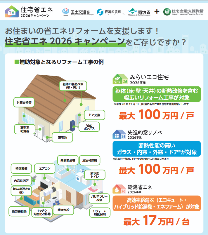 Screenshot 2026-06-05 at 16-18-19 leaflet_reform.pdf.png