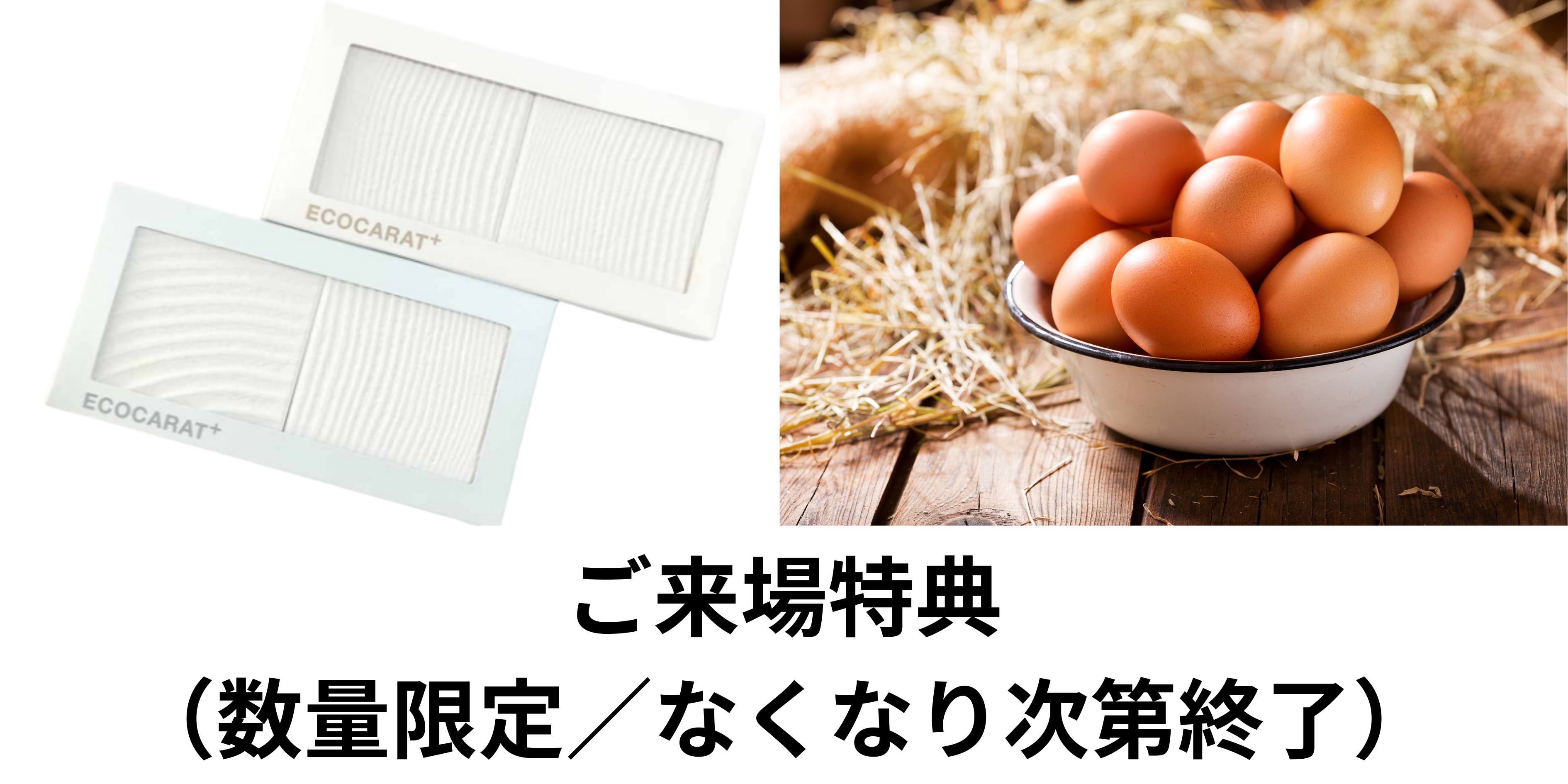 ご来場特典 （数量限定／なくなり次第終了）.png