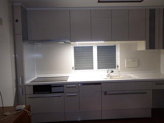 展示品のような美しさ！白い【 ﾘｼｪﾙ14 】