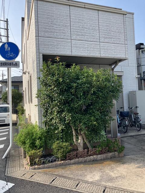 ビフォー