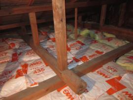 IMG_4972.JPGのサムネイル画像