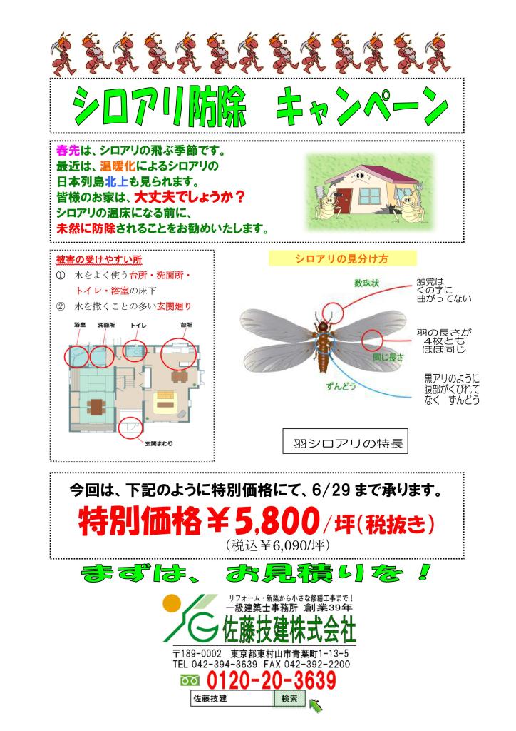 シロアリ防除　キャンペーン - コピー.jpg
