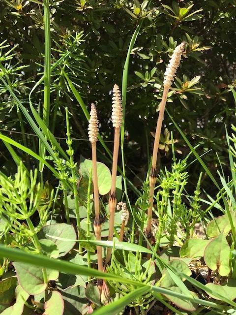 IMG_5197.jpgのサムネイル画像