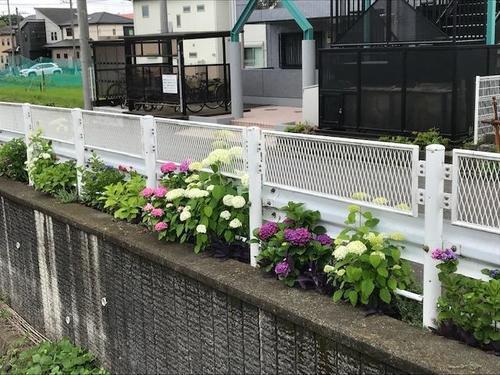 IMG_5890.JPGのサムネイル画像