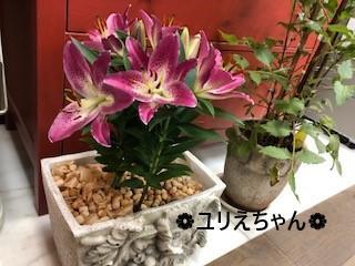 oユリえちゃん.jpg