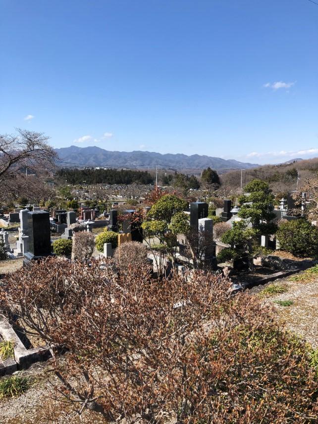 コメント 2020-03-21 123703.jpg