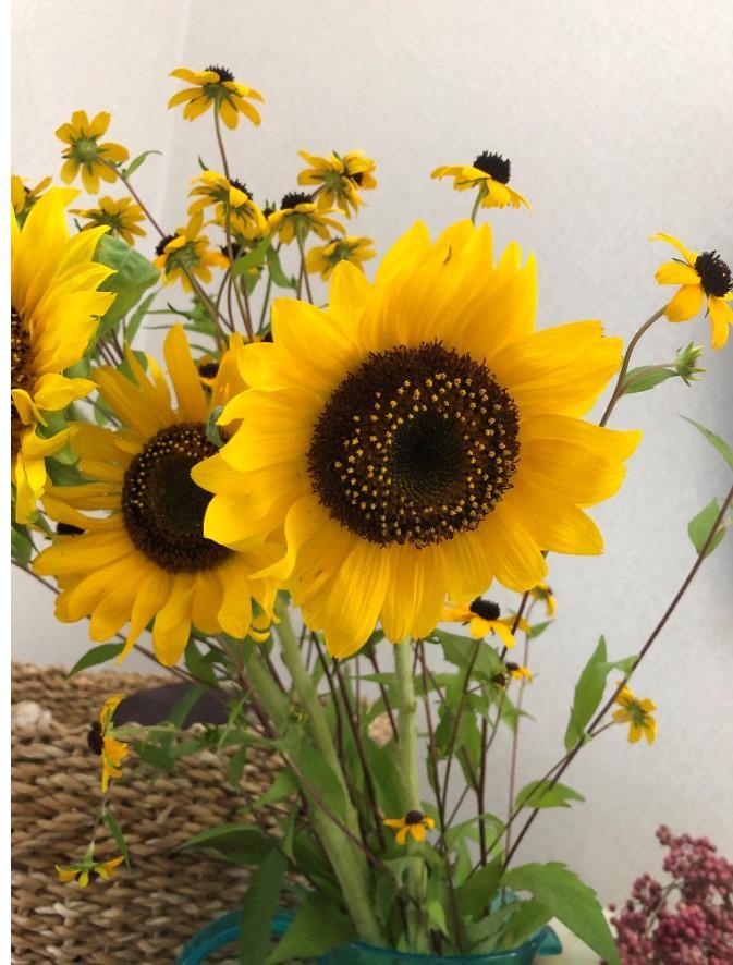 コメント 2020-08-11 154837.jpg