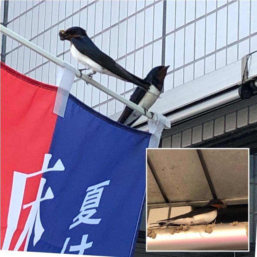 コメント 2020-05-06 142656.jpg