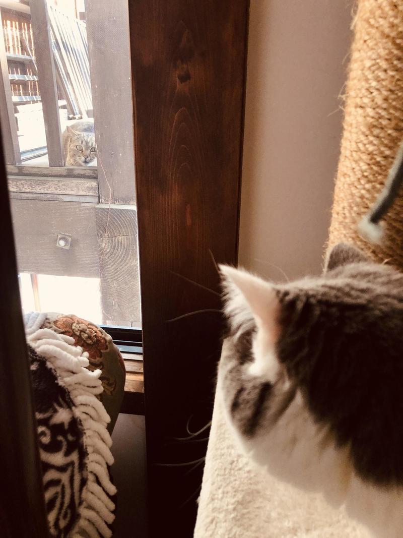 20190420 manaブログ用.jpeg