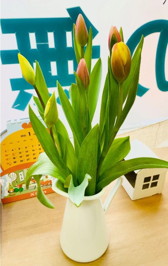 スクリーンショット 2021-01-13 092646.jpg