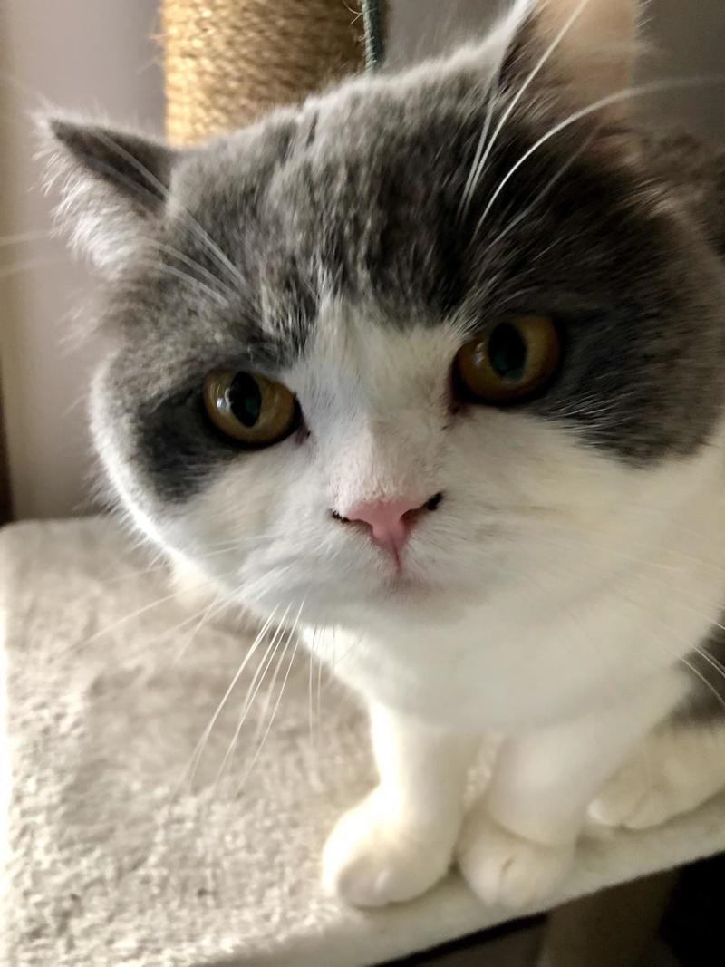 mana ブログ用.jpeg