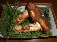 020.JPGのサムネイル画像のサムネイル画像