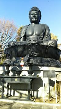 DSC_0115.JPGのサムネイル画像