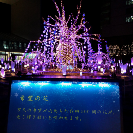 1638254695385.jpg (002).png