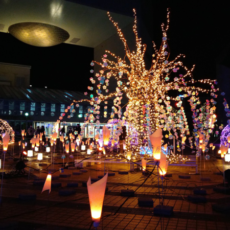 1638254682896.jpg (002).png