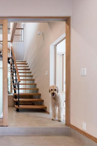 犬と一緒に生活する家