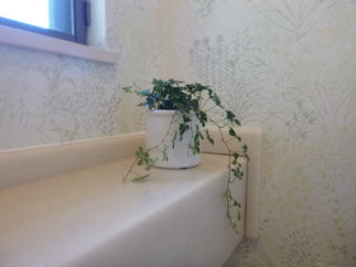 クロスの模様にシュガーパインの植物をプラスし、さわやかな空間を演出してくれます。