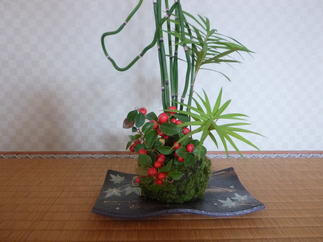 床の間には奥様が作った『コケ玉』を飾ってみました。