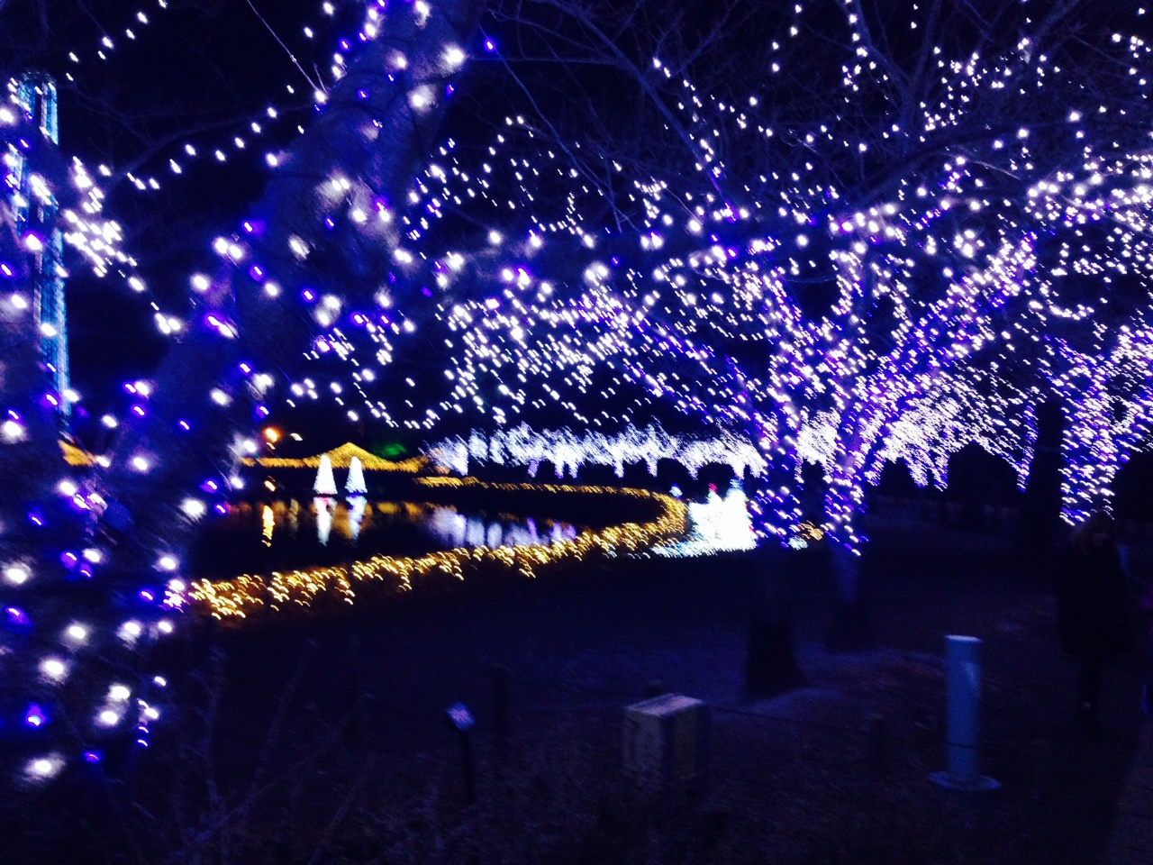 イルミネーション.JPG