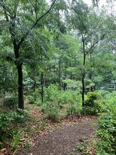IMG_2602.JPG