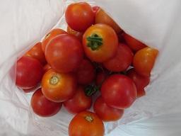 トマト.JPG
