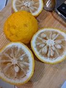 柚子1.jpg
