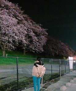 sakura.jpg