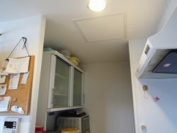 2015-08-28 11.23.05.jpg