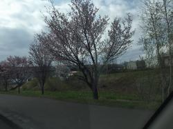 2016-04-28 08.29.48.jpg