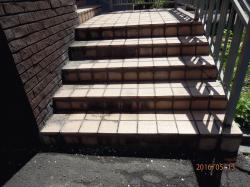 2016-05-13 10.55.20.jpg